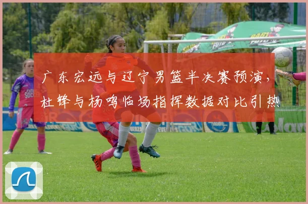 广东宏远与辽宁男篮半决赛预演，杜锋与杨鸣临场指挥数据对比引热议